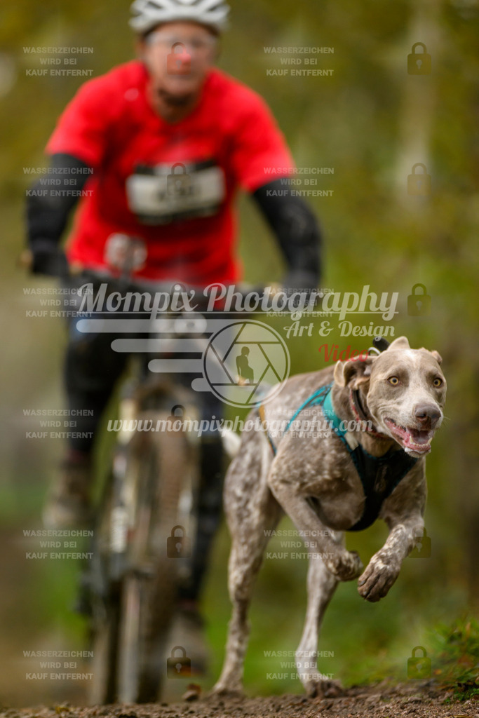 MompixPhotography_20TSB_E6_Bike-133 | PayLife