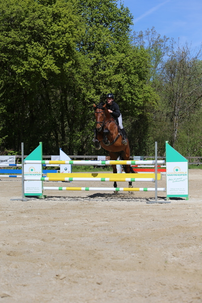 DL2Q3153 | Willkommen bei Brunnmayr - Design & Fotografie – Ihrem Spezialisten für Reitturniere und Pferdeveranstaltungen in Oberösterreich, Salzburg und Bayern! Seit über 17 Jahren sind wir leidenschaftlich dabei.