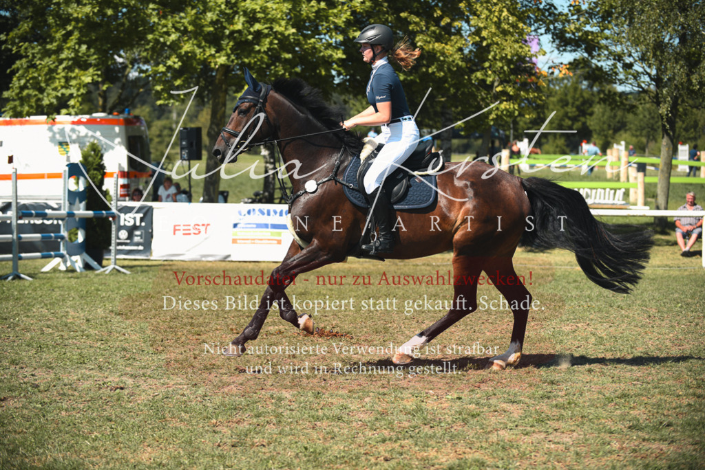 DSC_7001 | Pferde- und Turnierfotografie in Westsachsen. Pferdeportraits, Auftragszeichnungen und intuitive Kunst.