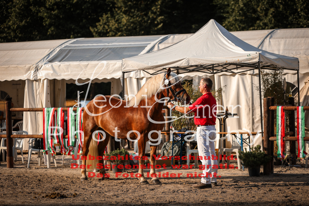 Fr3K00113 | Leoni Ertmer Photography - Realisiert mit Pictrs.com