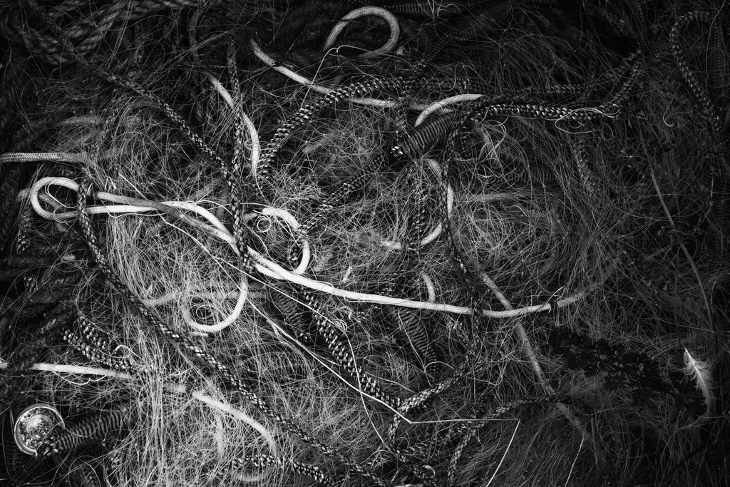 2025_03_28_OSTSEE-KAPPEL+MASSHOLM+QUERN_MCP7843 sw | Hochwertig gedruckte Fotografien für die Wand, als Kalender und zum Verschenken. Hamburg & Norddeutschland und überall wo ich mit der Kamera unterwegs war.