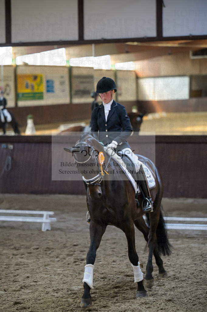 Reitturnier Voxtrup | Entdecke hochwertige Reitturnierfotos von Foto Oger. Professionell, emotional und authentisch – jetzt Lieblingsmomente im Shop bestellen.Deutschlandweite Turnierfotografie. - Realisiert mit Pictrs.com