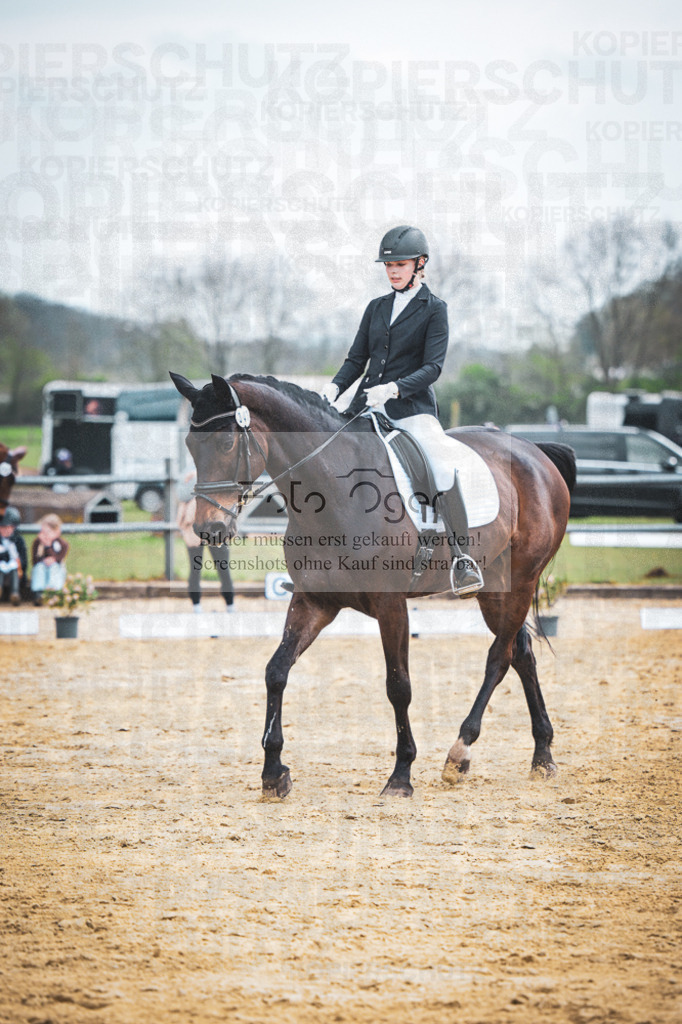 DOS_7676 | Entdecke hochwertige Reitturnierfotos von Foto Oger. Professionell, emotional und authentisch – jetzt Lieblingsmomente im Shop bestellen.Deutschlandweite Turnierfotografie. - Realisiert mit Pictrs.com