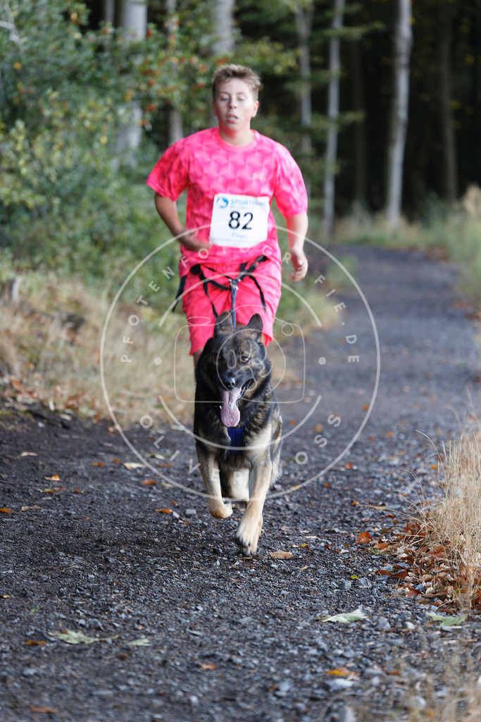 0L8A2098 | Hundefotografie, Tierfotograf, Pfotenfotografie, Fotoshooting Hund, Hunde Portrait, Hundesport, Hundeportraits, Heideshooting, Hunde, Sportfotograf, Hundefotograf, Turnierhundsport, THS,  - Realisiert mit Pictrs.com