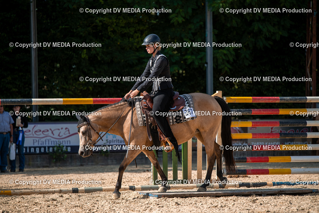 EWP_6945 | dv-media-shop - Realisiert mit Pictrs.com