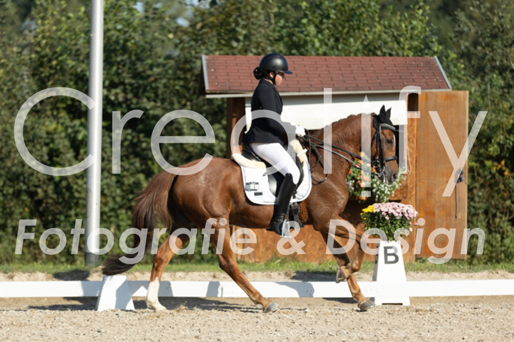 IMG_0704 | Creatify Fotografie