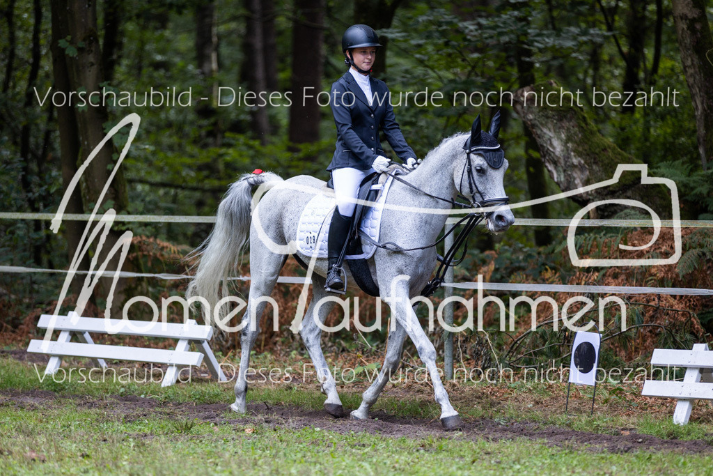 HB-Dressur-WB-041 | MomenTaufnahmen Pferdesportfotos