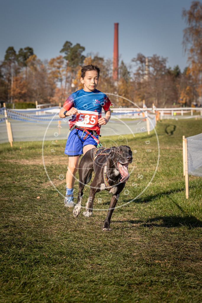 CaniXpix_0L8A7436 | Hundefotografie, Tierfotograf, Pfotenfotografie, Fotoshooting Hund, Hunde Portrait, Hundesport, Hundeportraits, Heideshooting, Hunde, Sportfotograf, Hundefotograf, Turnierhundsport, THS,  - Realisiert mit Pictrs.com