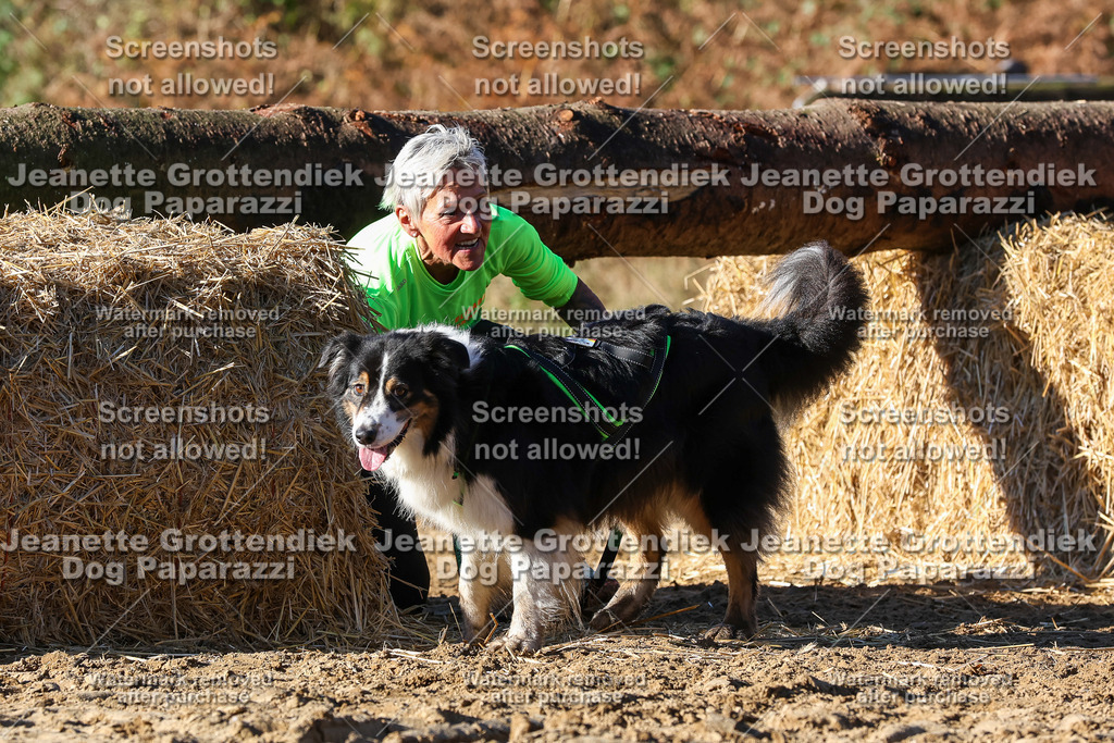 Dog Paparazzi - Strongdog 10-25-1809 | Dog Paparazzi Jeanette Grottendiek Fotografie & Videografie - Realisiert mit Pictrs.com