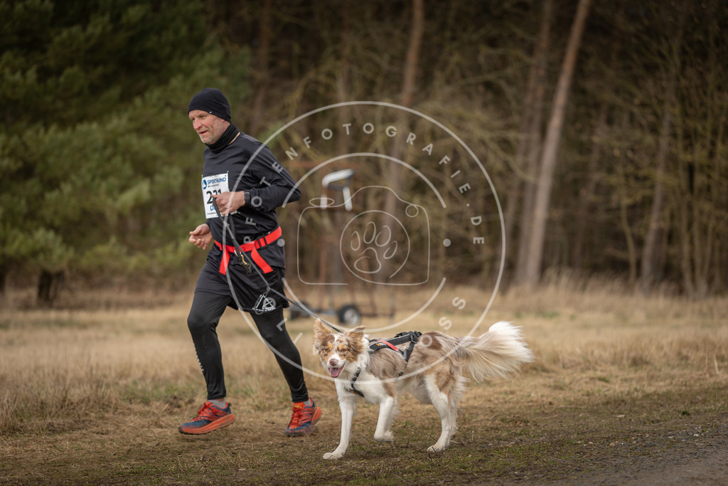 DV3A5352 | Hundefotografie, Tierfotograf, Pfotenfotografie, Fotoshooting Hund, Hunde Portrait, Hundesport, Hundeportraits, Heideshooting, Hunde, Sportfotograf, Hundefotograf, Turnierhundsport, THS,  - Realisiert mit Pictrs.com