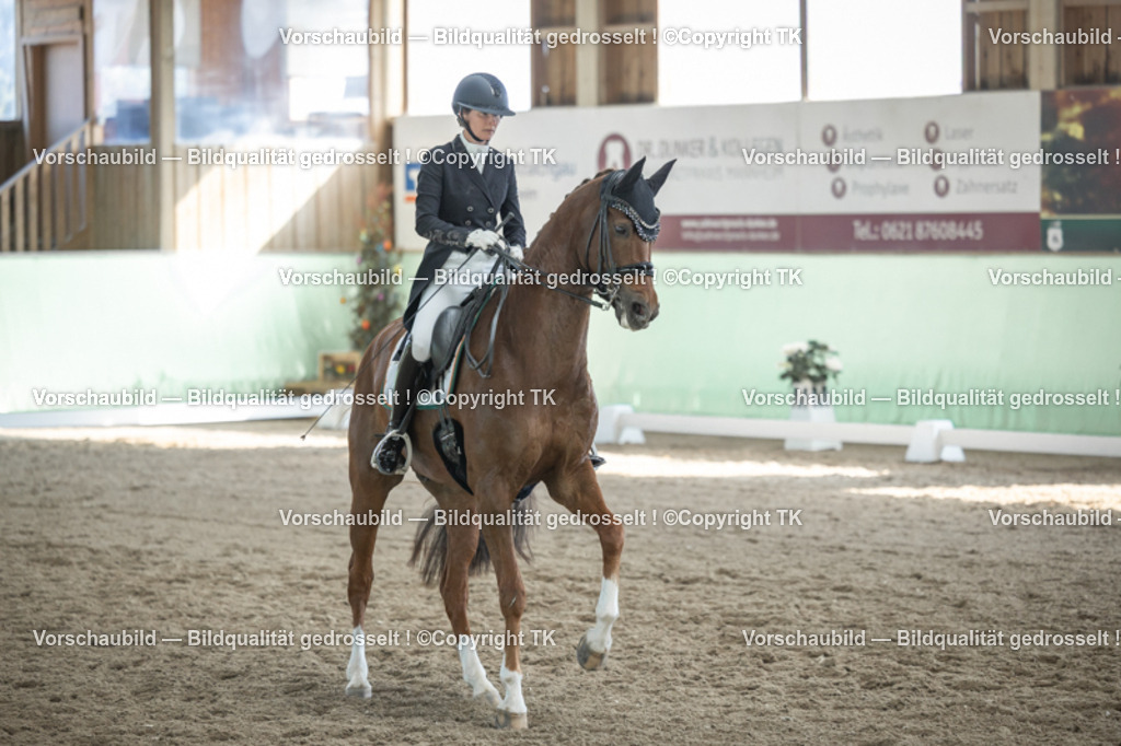 _D5A0076 | Emotionale Pferde- & People-Fotografie rund um Heidelberg, Leimen & Umgebung. Natürliche Fotos von Pferd, Mensch & Familie. Jetzt Termin sichern!