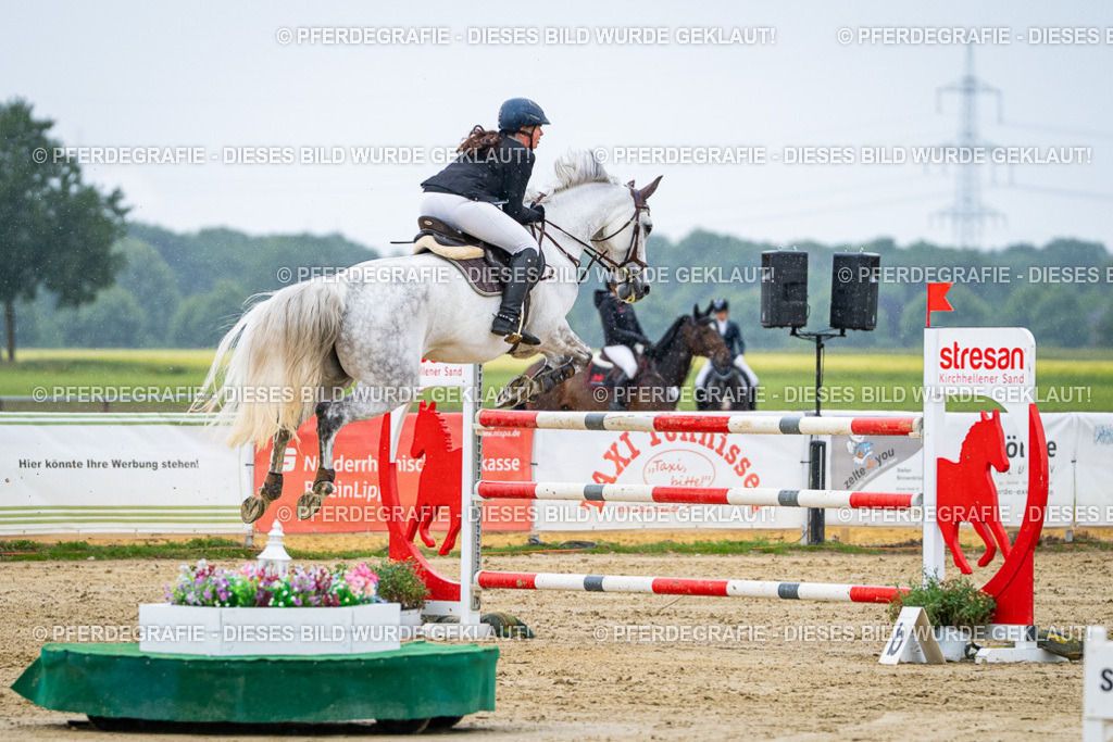 DSC08668 | Pferdegrafie