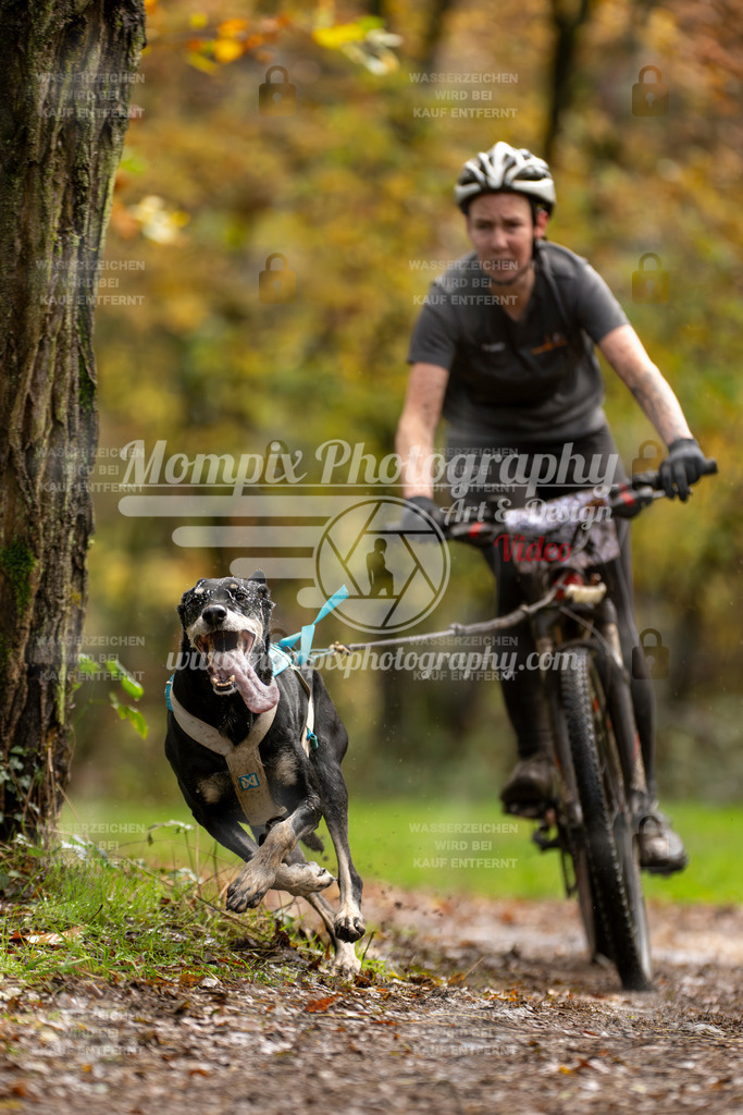 MompixPhotography_Bischwiller23_Bike-47 | PayLife