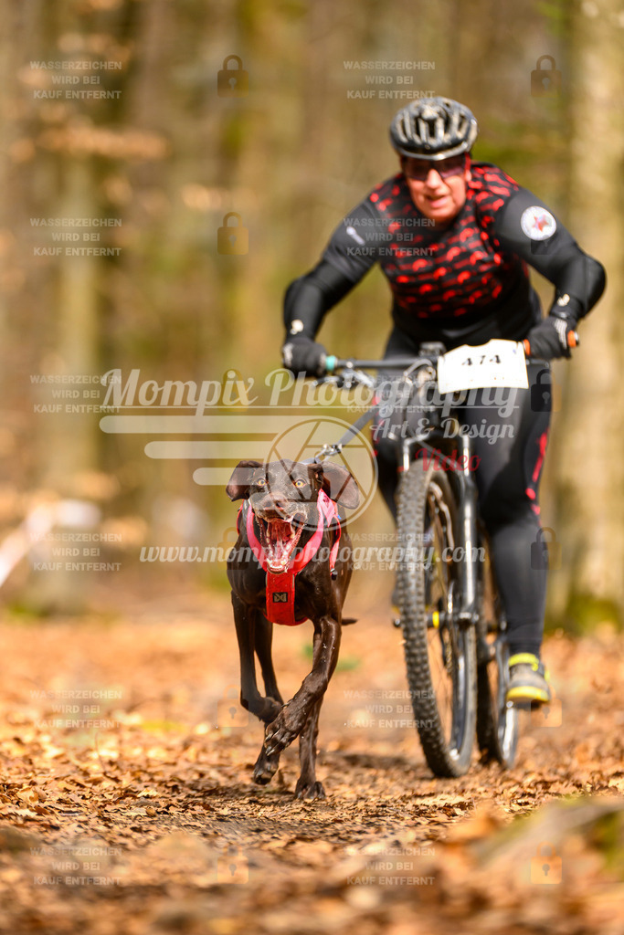 MompixPhotography_Habay2025_SA_Bike-108 | PayLife