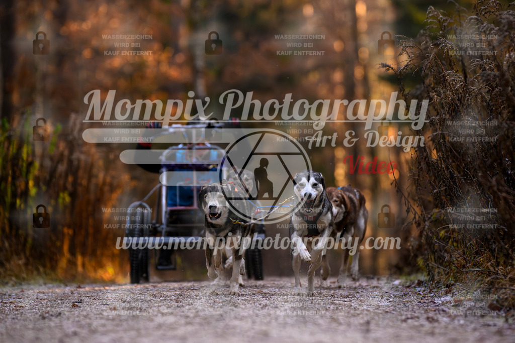 MompixPhotography_DM_AKDM_SO_2025_Wagen-60 | PayLife