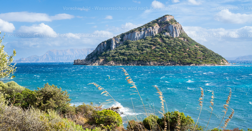 DSC09088 | marcuslinek