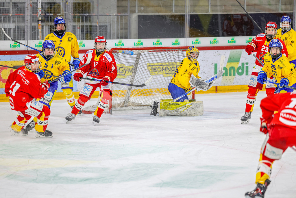 EHCB vs HCD-0297 | Sportbilder, Sportfotograf, Hochzeits- und Eventfotografin, Flugshows, Portraits und Tiershooting, Aviation, Downhill, Nationalleague, Swissleague, International