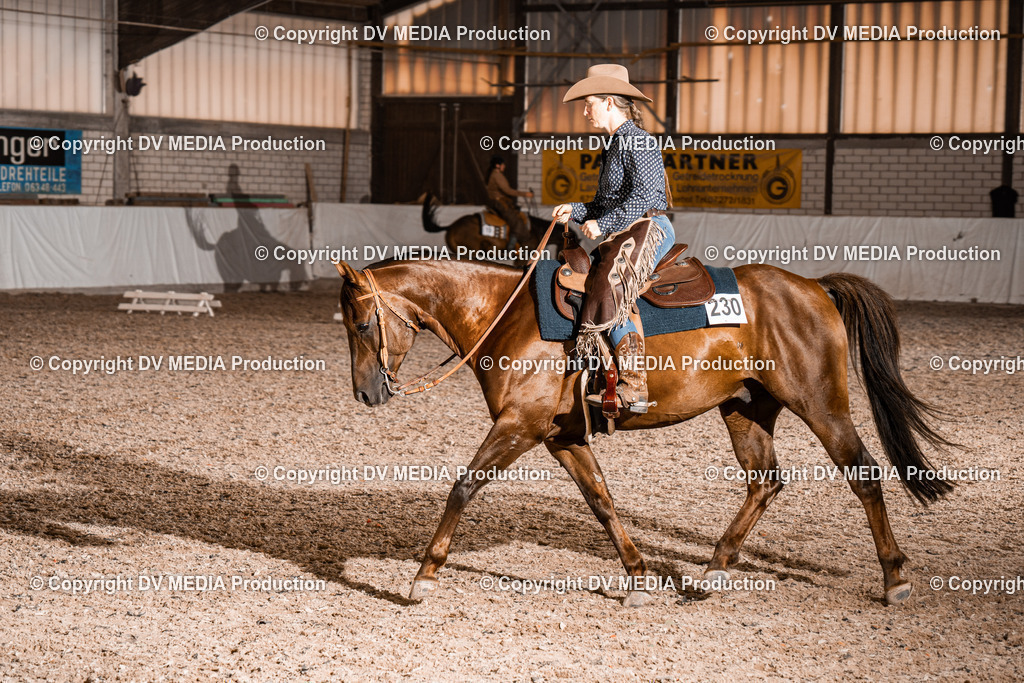 ZH200864 | dv-media-shop - Realisiert mit Pictrs.com