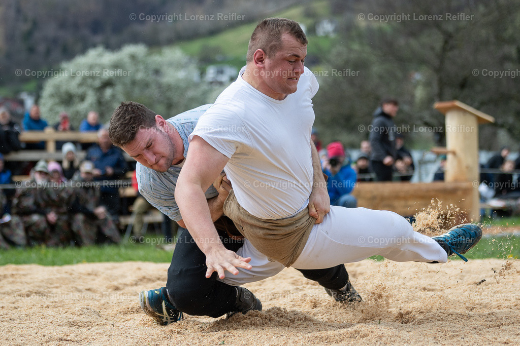 Schwingen -  Rheintal-Oberländer 2024 | Trübbach, 24.3.24, Schwingen - Rheintal-Oberländer.