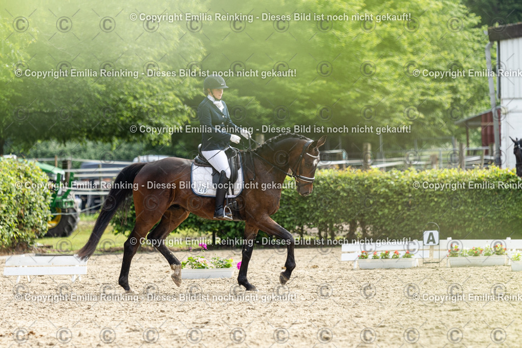 CL5A5356 | Emilia Reinking Fotografie - Realisiert mit Pictrs.com