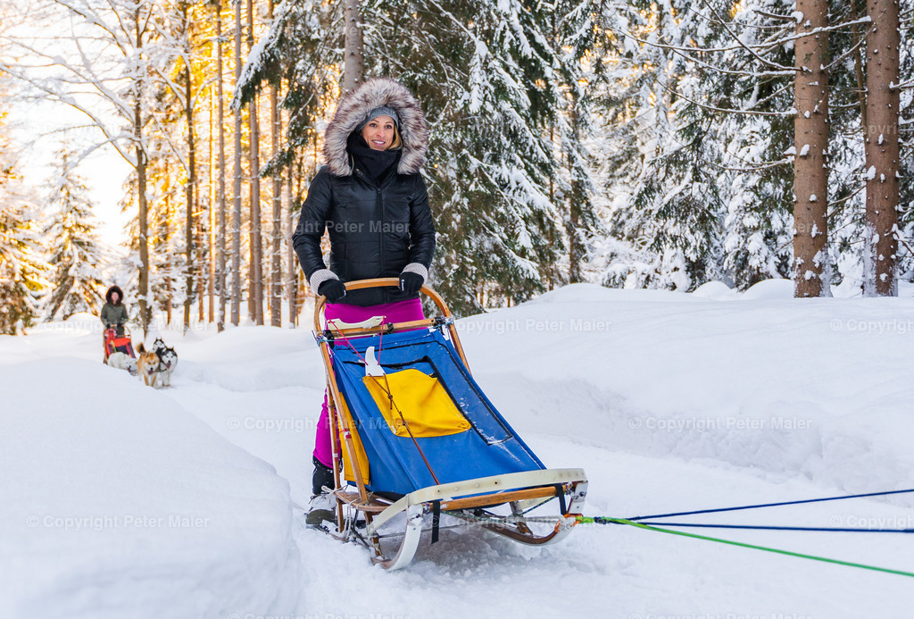 Huskyschlitten_Faubelhof_Hohenthurn-185 | piet_flosse