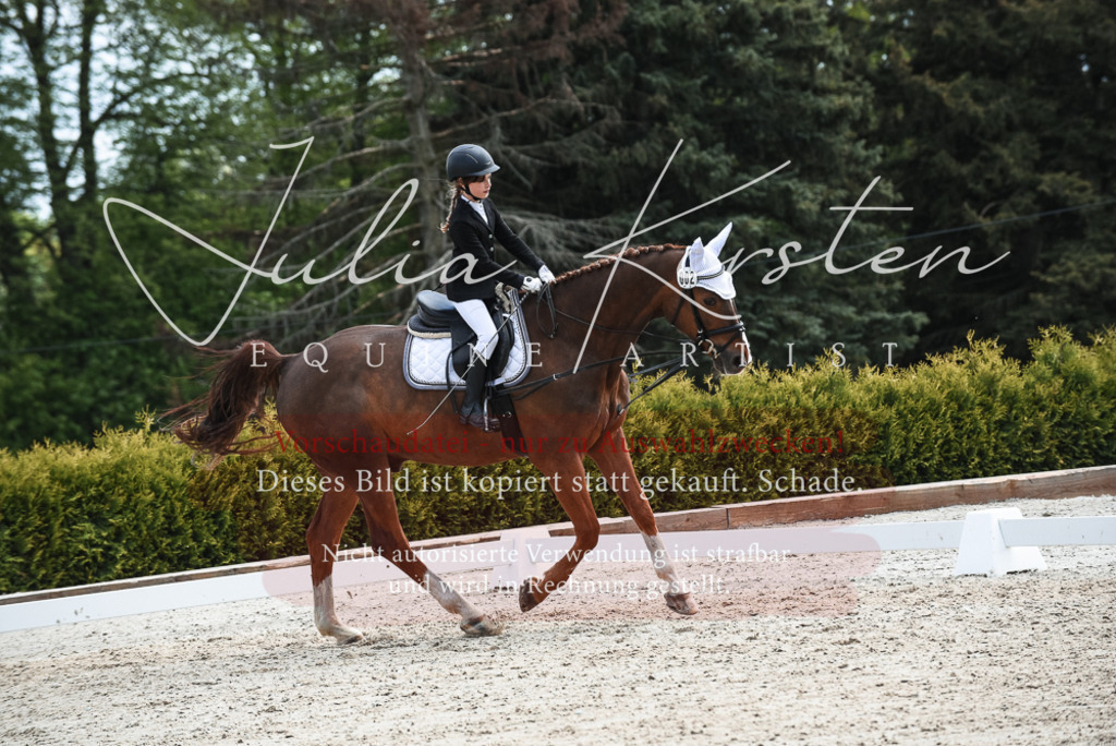 20230518_JK-Röhrsdorf-11-0849 | Pferde- und Turnierfotografie in Westsachsen. Pferdeportraits, Auftragszeichnungen und intuitive Kunst.