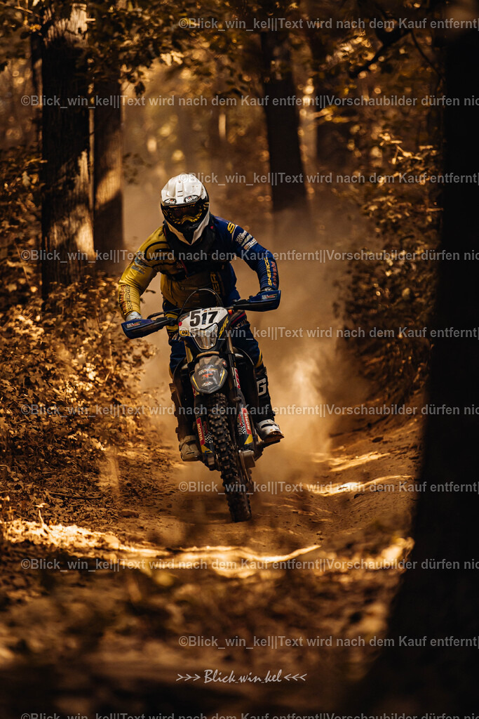 E68A7937 | blick_win_kel