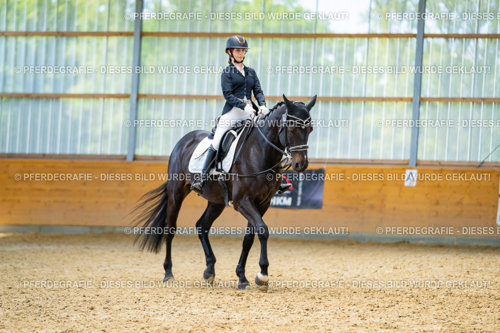 DSC09430 | Pferdegrafie