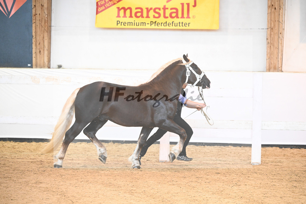 Kat-Nr. 11 v. Dirino_Bauer_6240101 | hf-fotografie - Realisiert mit Pictrs.com