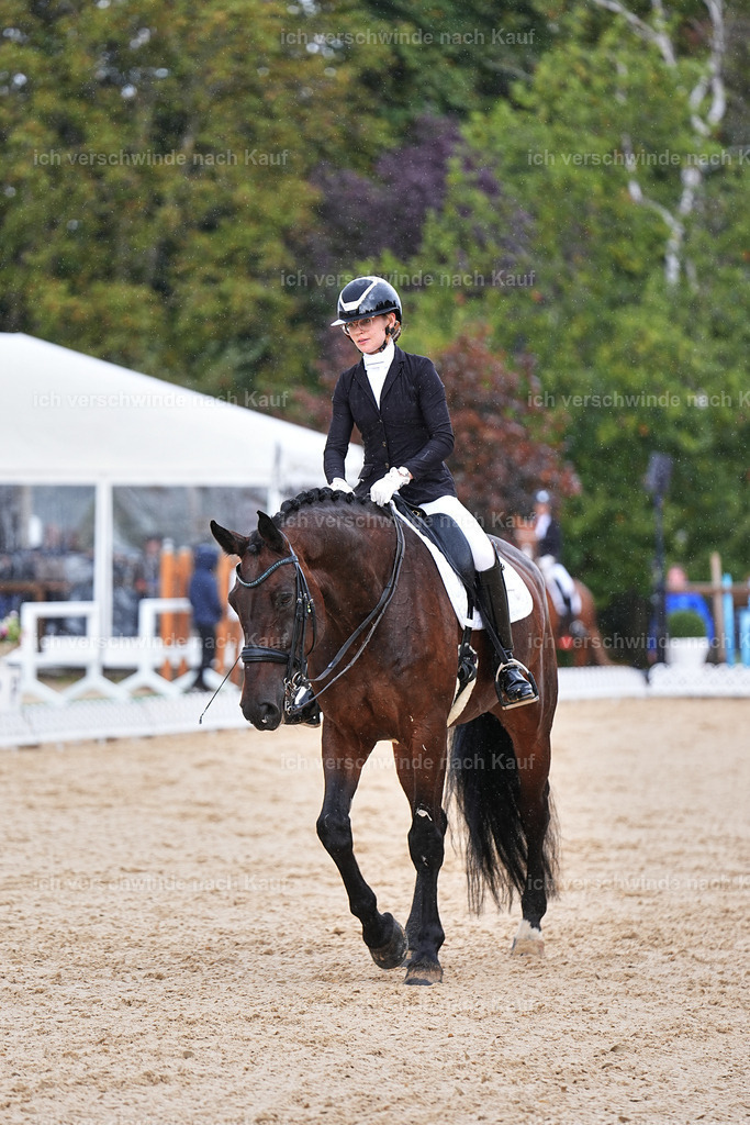 05-022-DRESSUR M_  -Marixx-4969 | working equitationturnier fotograf videograf stoibphotography marixx film working equitation deutschland reitsport turnierfotografie eventfotografie equestrian events