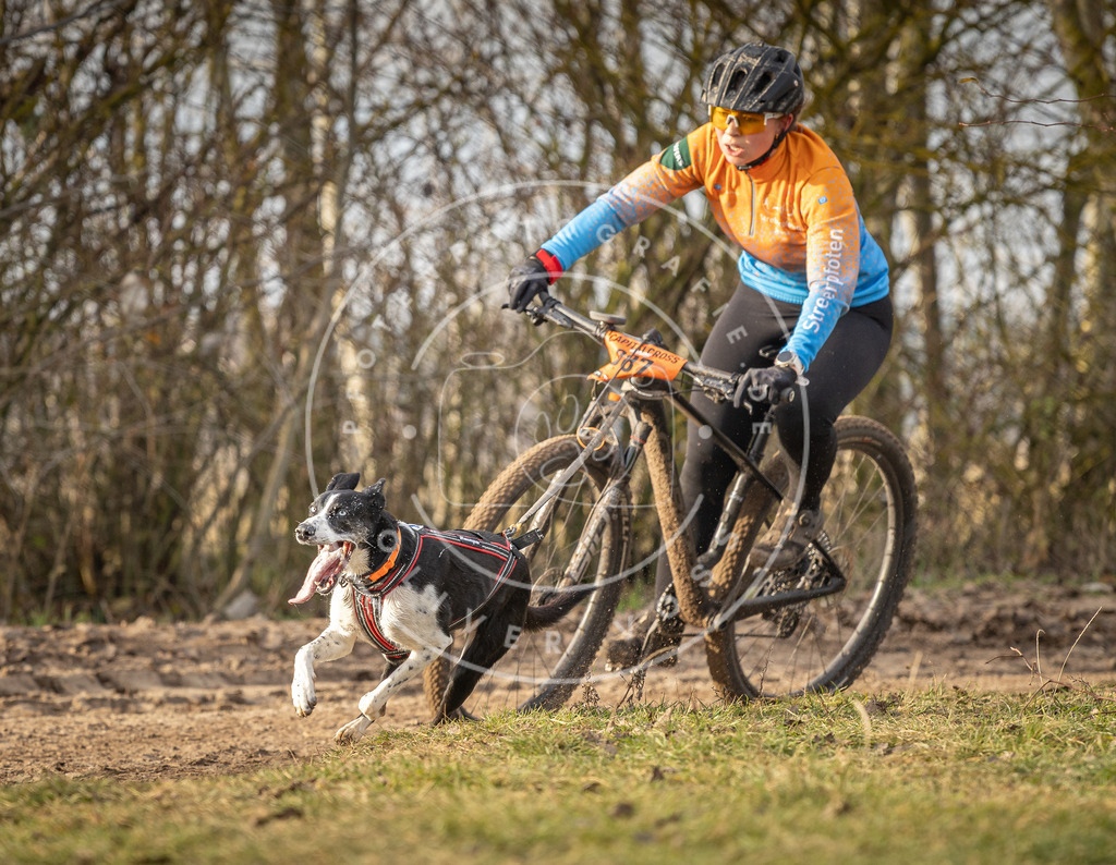 Pfotenfotografie_DV3A7502 | Hundefotografie, Tierfotograf, Pfotenfotografie, Fotoshooting Hund, Hunde Portrait, Hundesport, Hundeportraits, Heideshooting, Hunde, Sportfotograf, Hundefotograf, Turnierhundsport, THS,  - Realisiert mit Pictrs.com