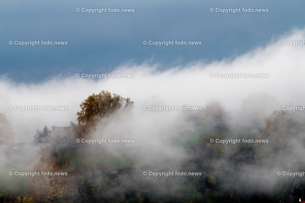 Herbst_ Nebel_ 16.11.2024-7 | 16.11.2024, Linz, AUT, Herbst, im Bild Nebel, Nebelschwaden, Baum, Feature