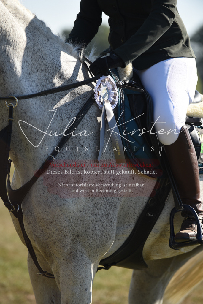 DSC_5447 | Pferde- und Turnierfotografie in Westsachsen. Pferdeportraits, Auftragszeichnungen und intuitive Kunst.
