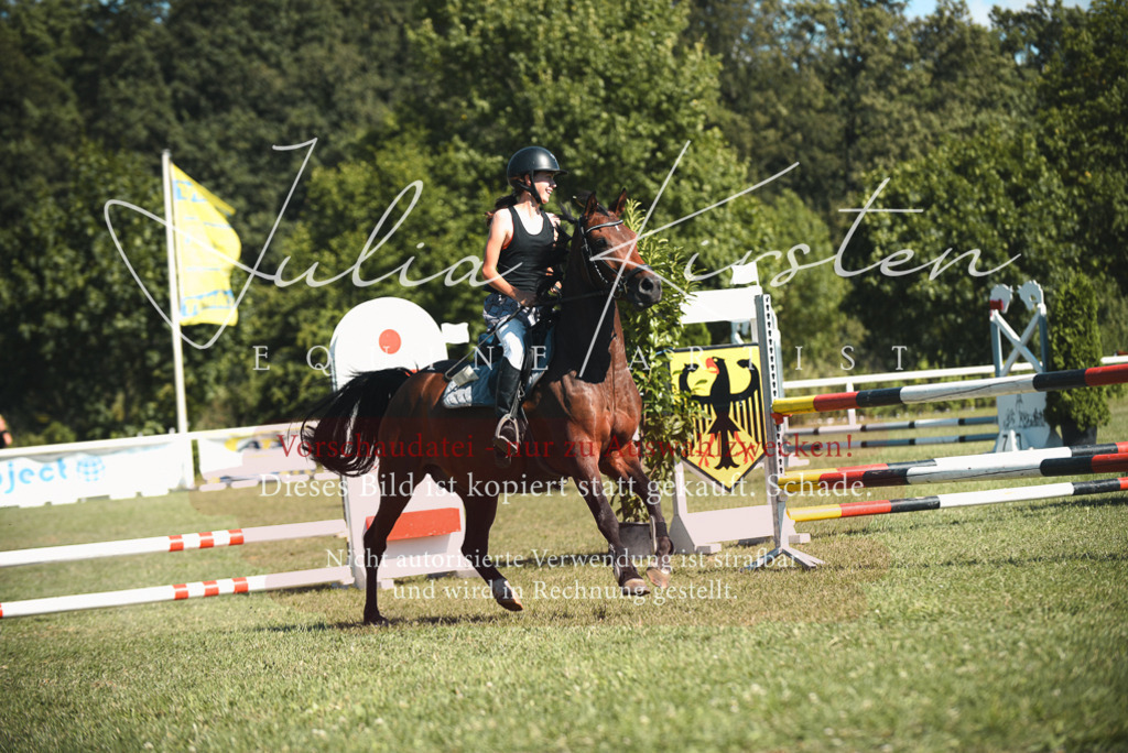 DSC_7463 | Pferde- und Turnierfotografie in Westsachsen. Pferdeportraits, Auftragszeichnungen und intuitive Kunst.