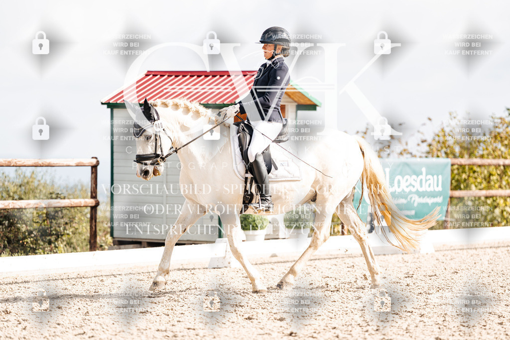 CK901538 | Turnierfotografie Pferdefotografie Trier Rheinland-Pfalz Pferdesport Reitsport Tierfotografie Sportfotografie Pferdevideo Pferdevideografie Equestrianvideography equestrianphotography  - Realisiert mit Pictrs.com