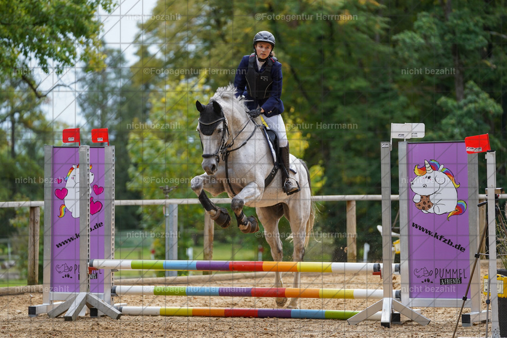 20231008-SN_01043 | Professionelle Turnier- und Reitsportfotografie - mit dem Finger am Auslöser. Pferdebilder aus dem Reitsport von den Turnierfotografen  Bayern , Pferdefotograf Bayern, Pferdeshooting Turnierbilder, Hochzeitsfotograf, Eventfotograf, Hochzeitsbilder