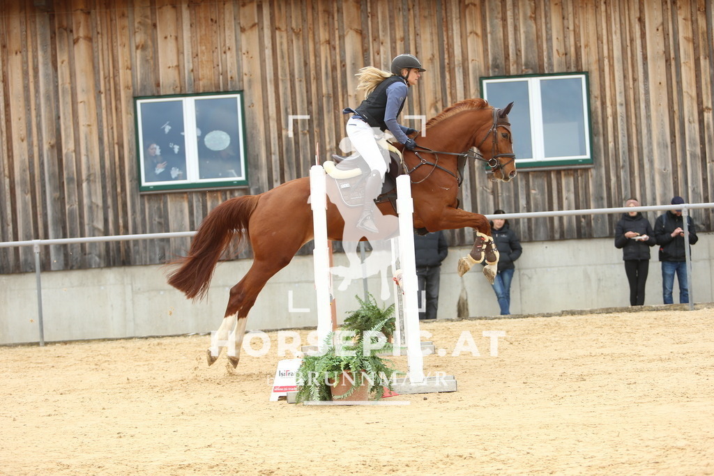 DL2Q1872 | Willkommen bei Brunnmayr - Design & Fotografie – Ihrem Spezialisten für Reitturniere und Pferdeveranstaltungen in Oberösterreich, Salzburg und Bayern! Seit über 17 Jahren sind wir leidenschaftlich dabei.