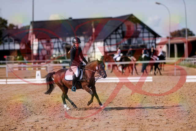 2026_10_03_Siefer-Hof_121021_Z81_12463387 | Professionelle Reitsport-, Turnier- und Eventfotografie von Robert Broda. Galerien mit ausgewählten und bearbeiteten Bildern direkt online ansehen und bestellen.