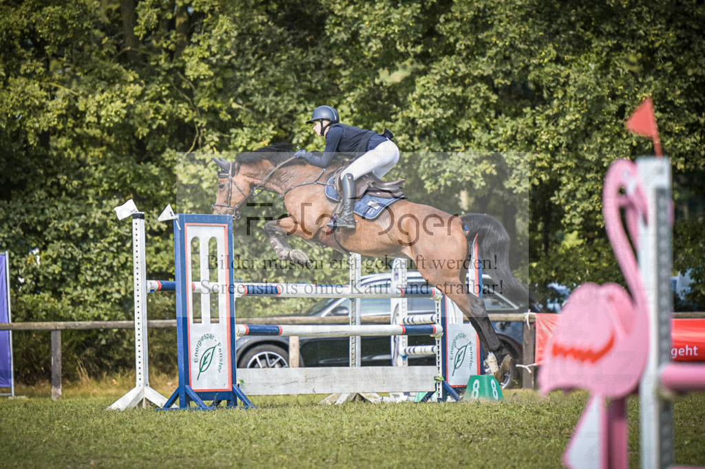 DOS_0280 | Entdecke hochwertige Reitturnierfotos von Foto Oger. Professionell, emotional und authentisch – jetzt Lieblingsmomente im Shop bestellen.Deutschlandweite Turnierfotografie. - Realisiert mit Pictrs.com