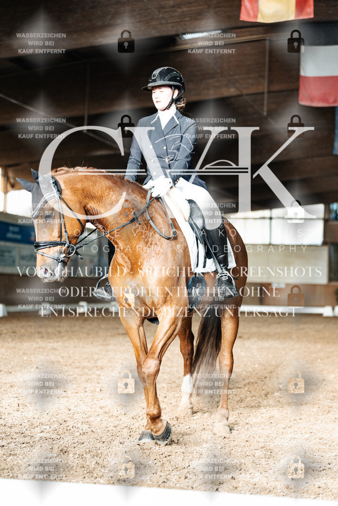 CK903187 | Turnierfotografie Pferdefotografie Trier Rheinland-Pfalz Pferdesport Reitsport Tierfotografie Sportfotografie Pferdevideo Pferdevideografie Equestrianvideography equestrianphotography  - Realisiert mit Pictrs.com