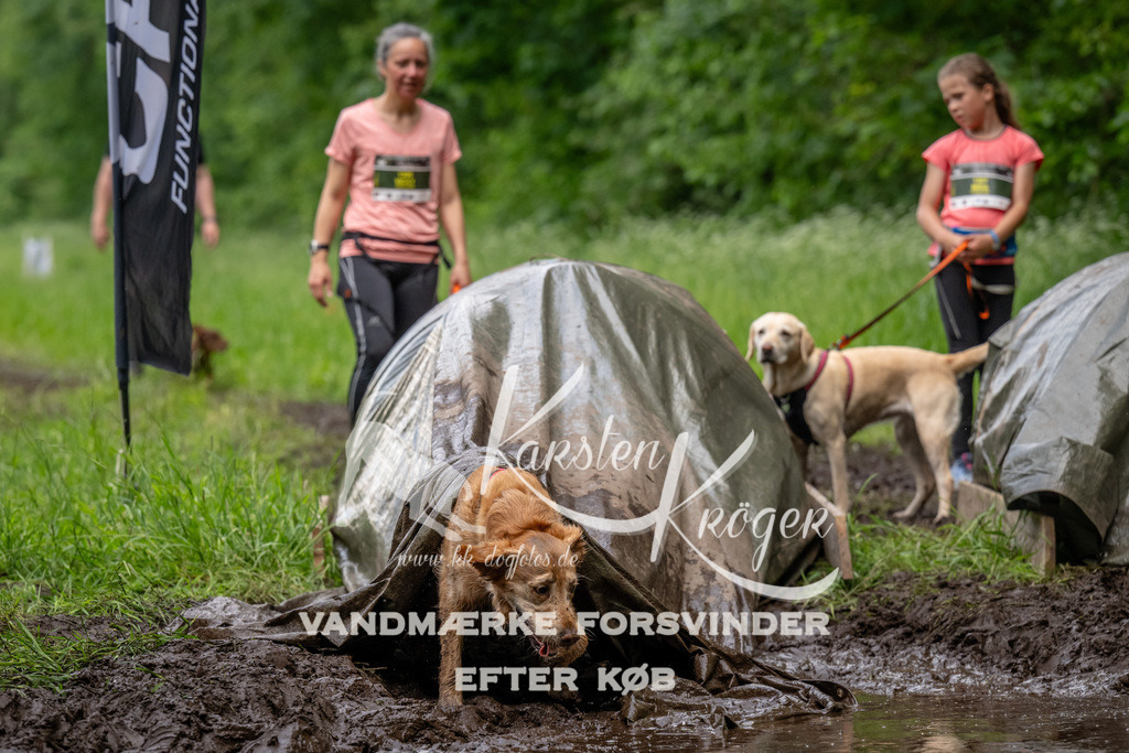 1529_ZZ93846 | kk-dogfotos