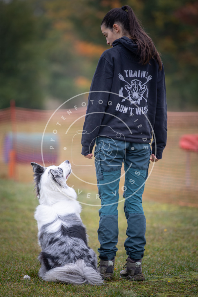 Pfotenfotografie_DV3A8838 | Hundefotografie, Tierfotograf, Pfotenfotografie, Fotoshooting Hund, Hunde Portrait, Hundesport, Hundeportraits, Heideshooting, Hunde, Sportfotograf, Hundefotograf, Turnierhundsport, THS,  - Realisiert mit Pictrs.com