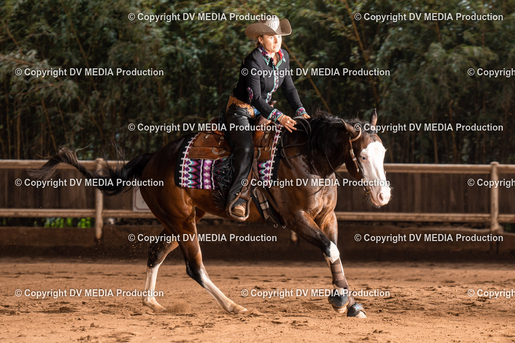 Erbach Tag 2-958 | dv-media-shop - Realisiert mit Pictrs.com