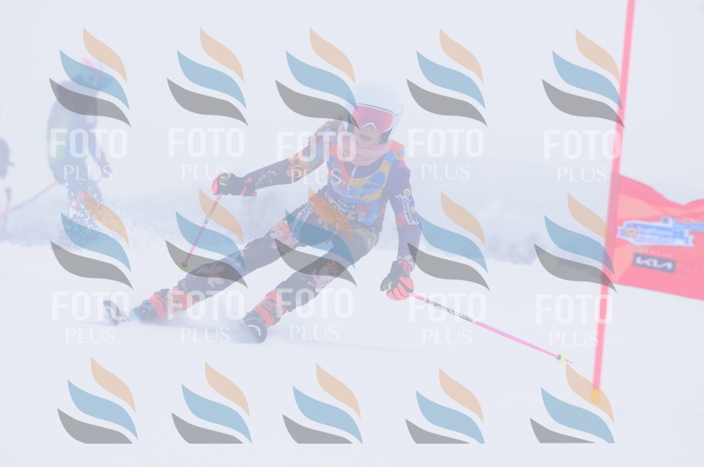 C2844 | holidayphoto