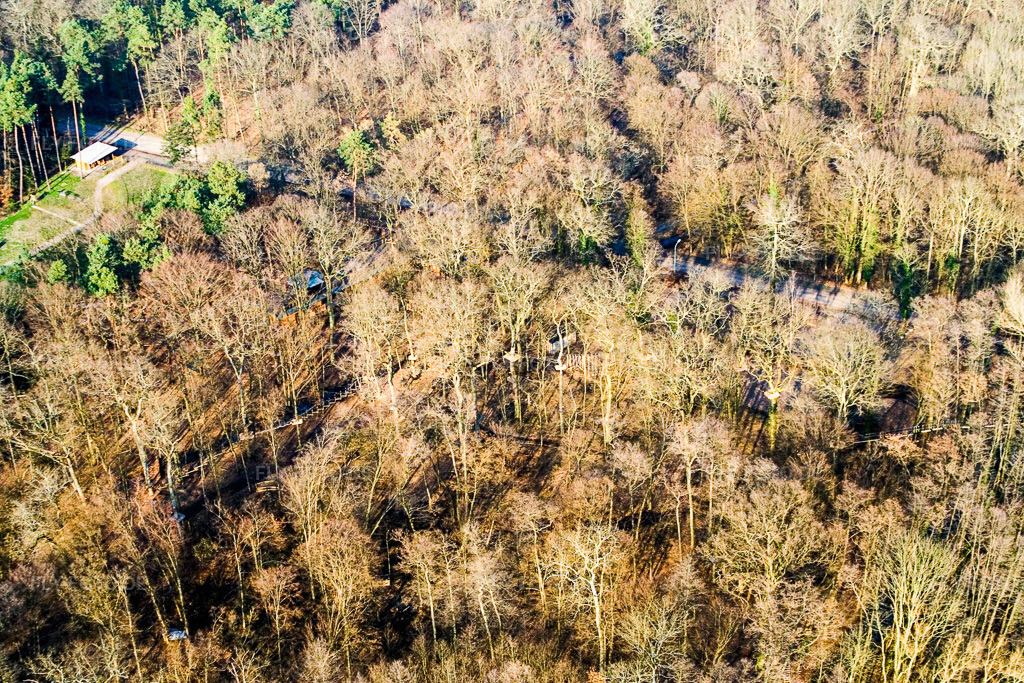 Luftbild: Fun Forest: Abenteuerpark Kandel in Kandel im Bundesland Rheinland-Pfalz in Deutschland. Foto: IMG_5491.jpg vom 21.02.2007 durch Werner Riehm/FLY-FOTO.de