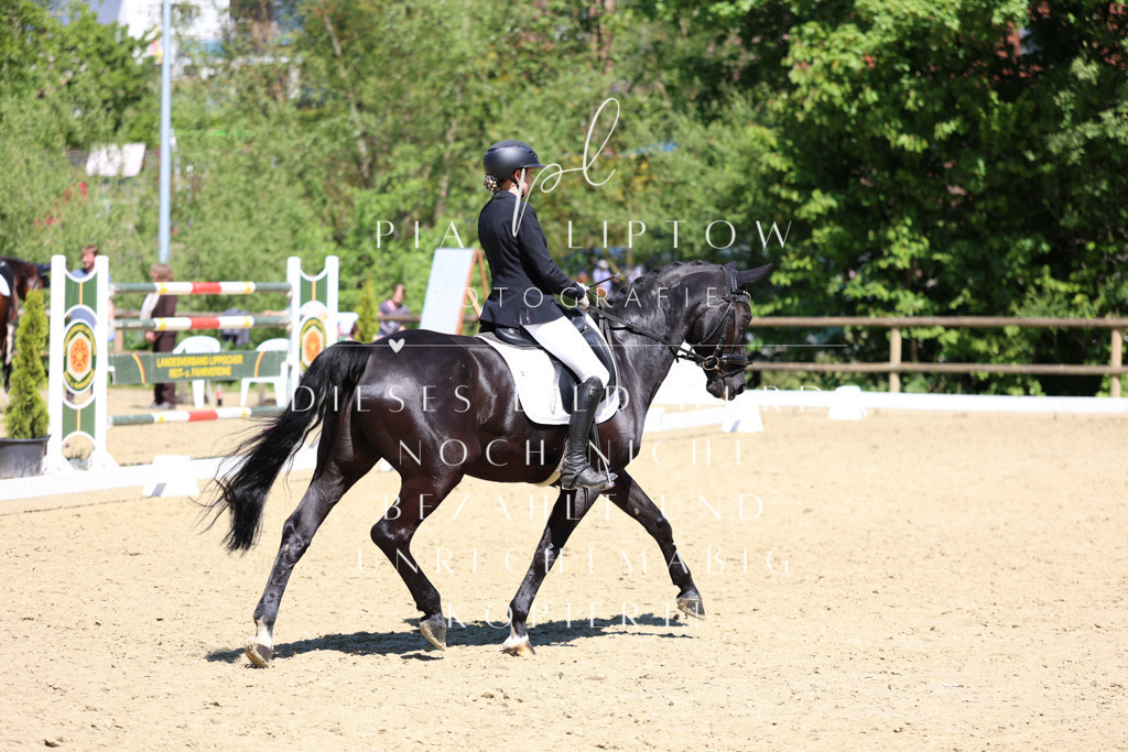 IMGS1693 | pl-fotografie