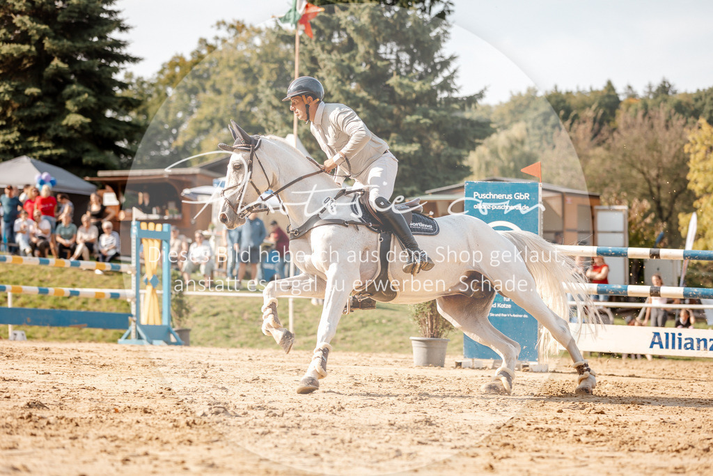 3I6A4965 | Stimmungsvolle Portraits und Reitsportfotografie im Ruhrgebiet und im Münsterland.

Pferdefotografie, Hundefotografie, Tierfotografie, Reportagen, Portraits von Tier und Mensch, Turnierfotografie in Bochum, Recklinghausen, Marl, Haltern am See, Dülmen.. - Realisiert mit Pictrs.com