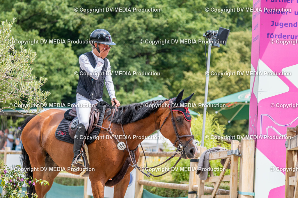 Hessische Tag 3-411 | dv-media-shop - Realisiert mit Pictrs.com