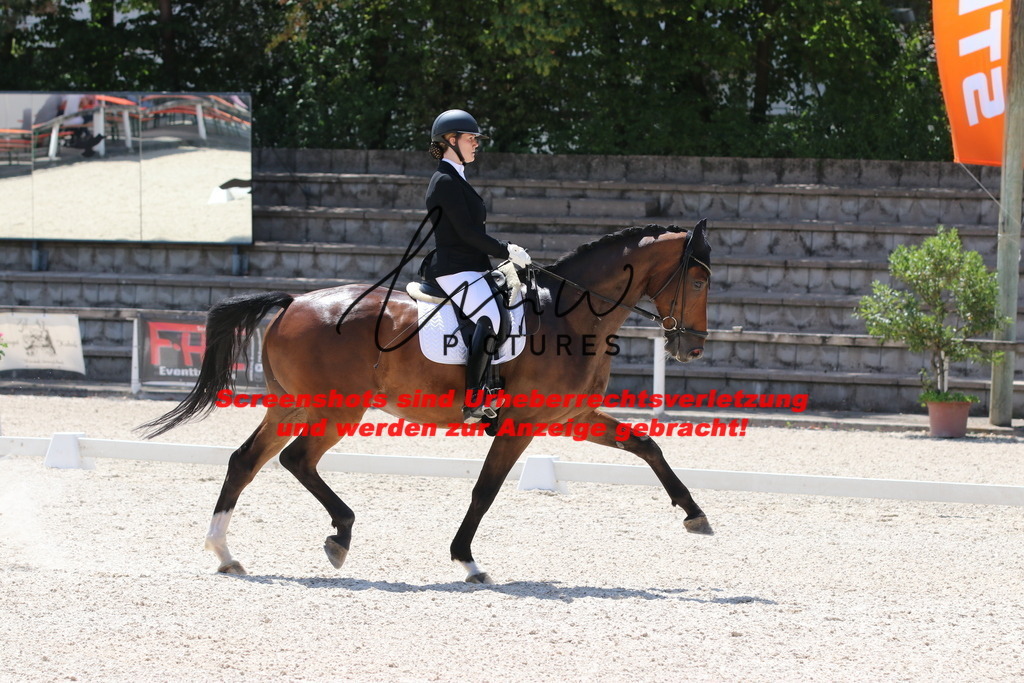 IMG_4891 | lmwpictures - Realisiert mit Pictrs.com