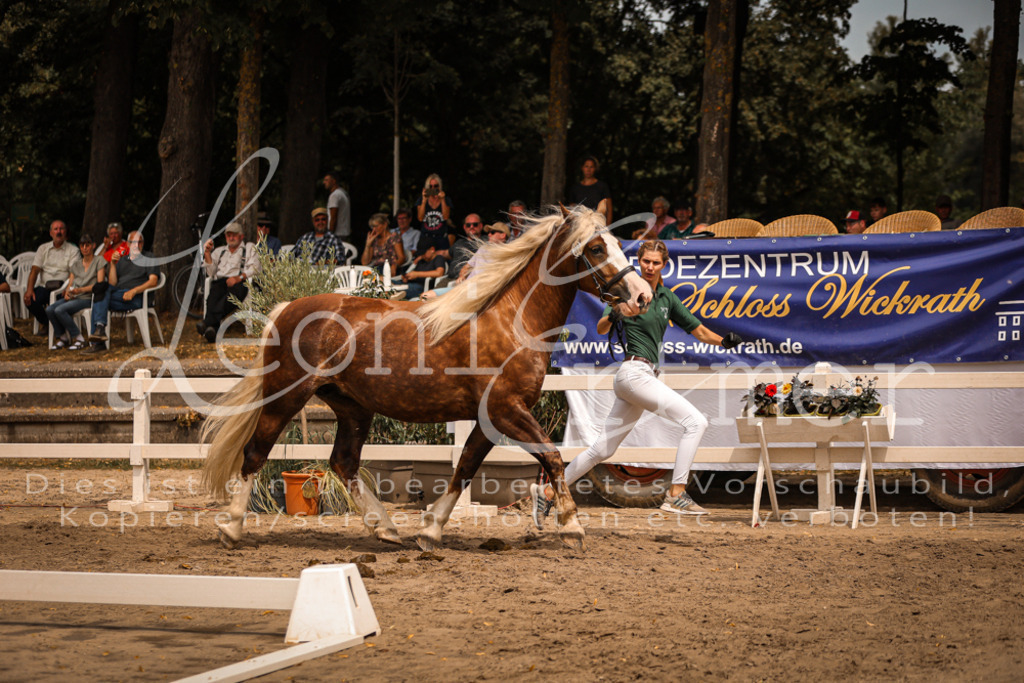 5.Sa00024 | Leoni Ertmer Photography - Realisiert mit Pictrs.com